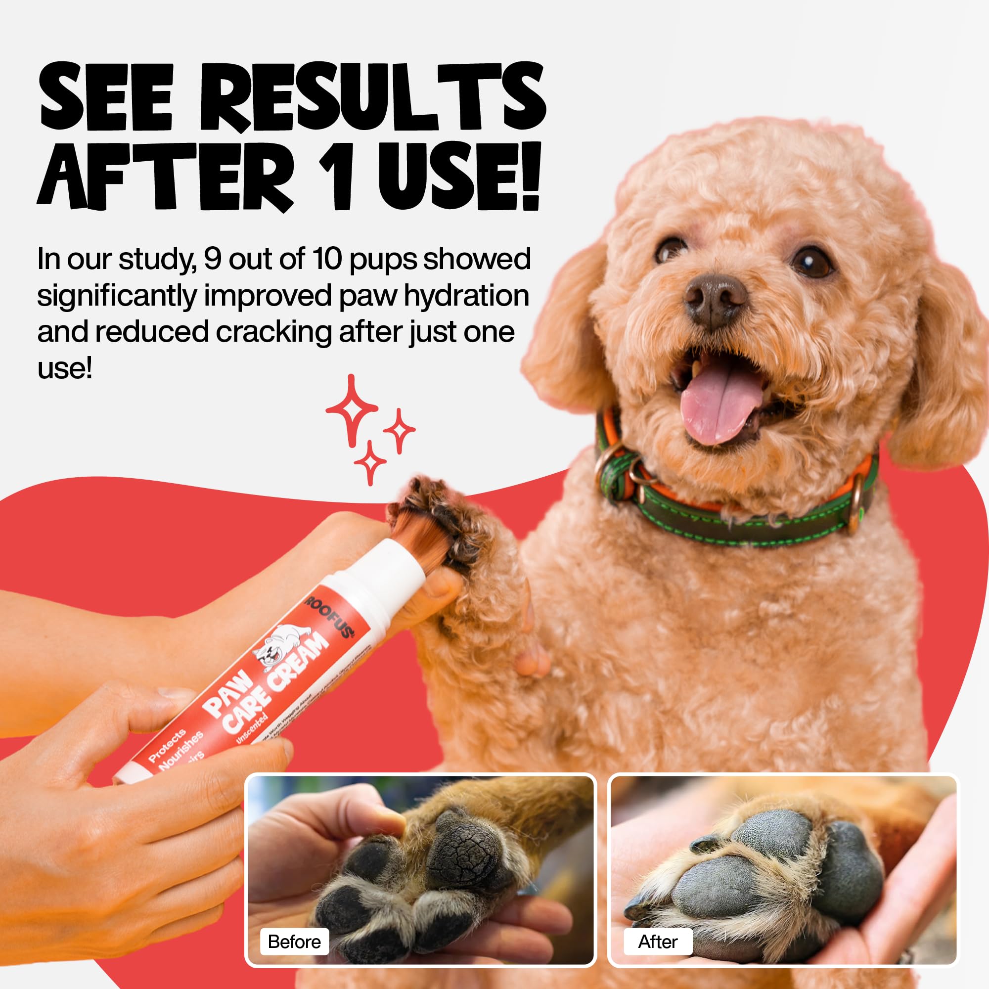 ROOFUS THE DOG application rapide et non gras pour promenade.