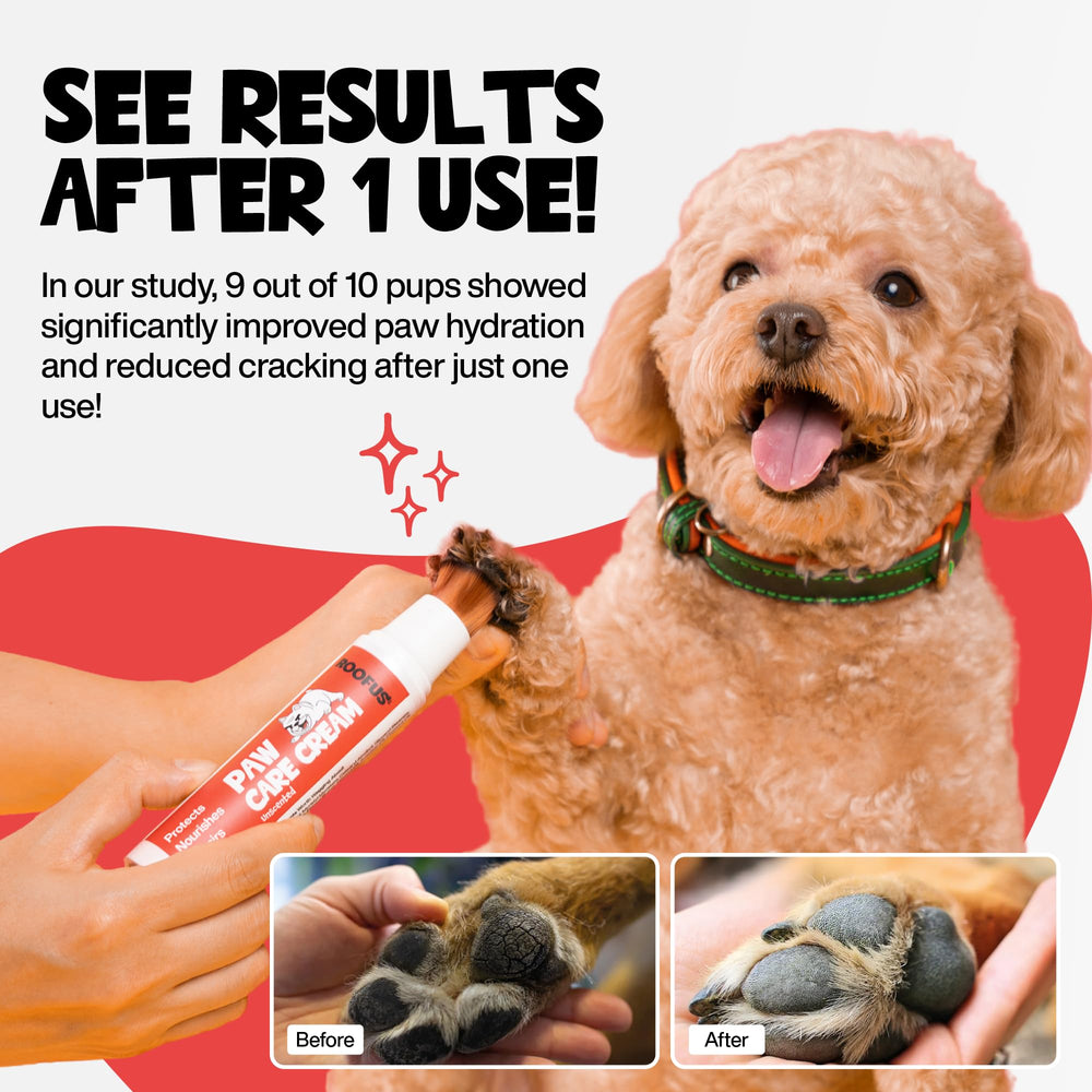 ROOFUS THE DOG application rapide et non gras pour promenade.