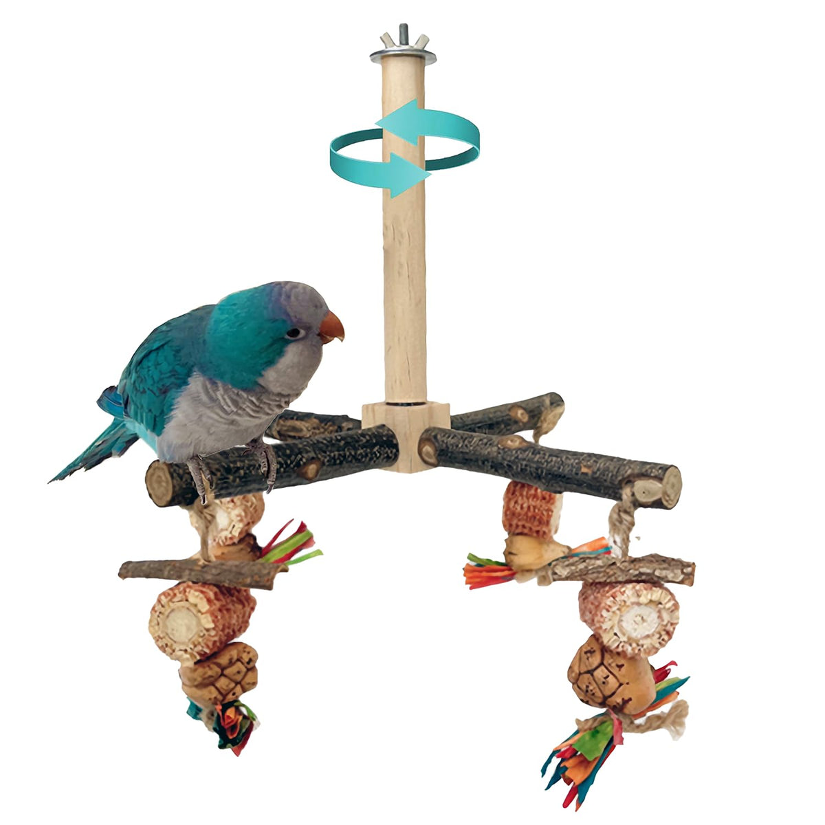 ROOJUNE perchoir 360° rotation en bois naturel pour petites et moyennes perruches.