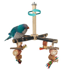 ROOJUNE perchoir 360° rotation en bois naturel pour petites et moyennes perruches.