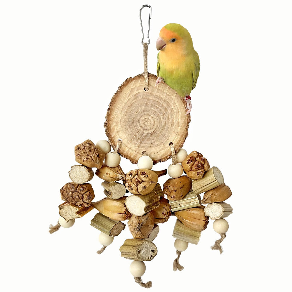 ROOJUNE perchoir naturel pour oiseaux, enrichissement et jeu sûrs.