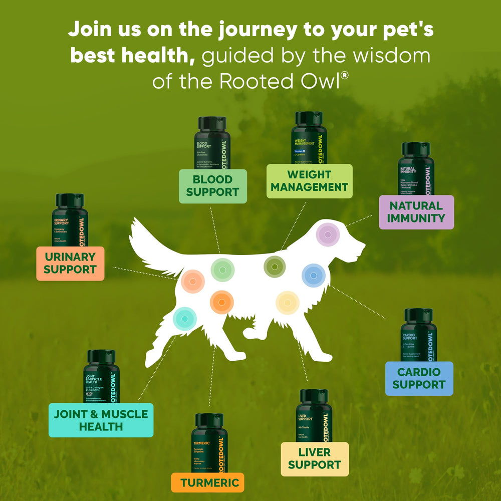 Rooted Owl Guide-usage-chien : conseils d'utilisation faciles