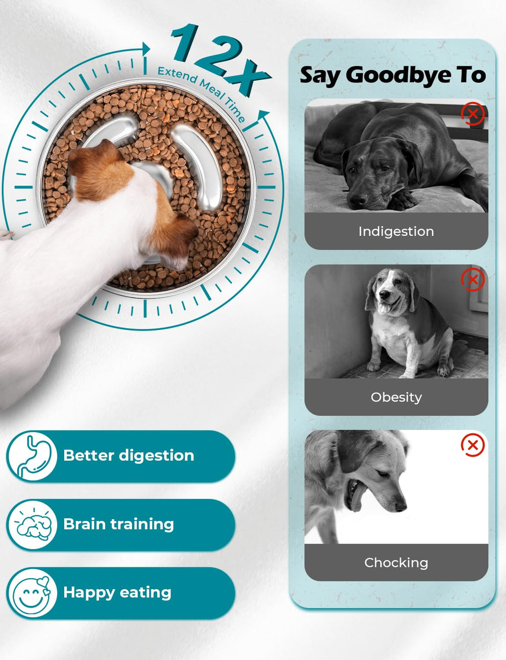 RooXchowla bol lent pour chiens moyens et grands, design sûr.