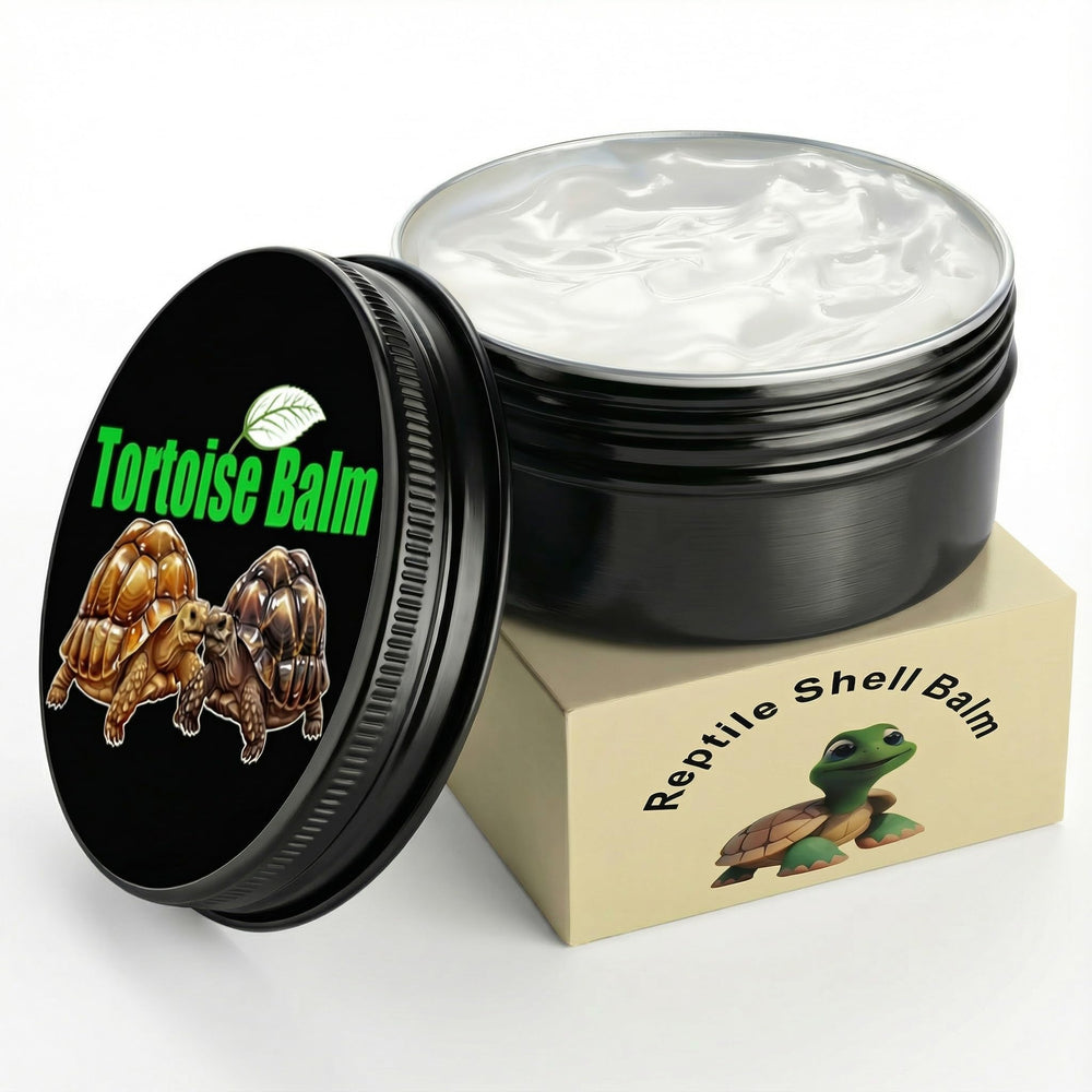 Ropto coquille tortue hydratation et protection lors des repas.