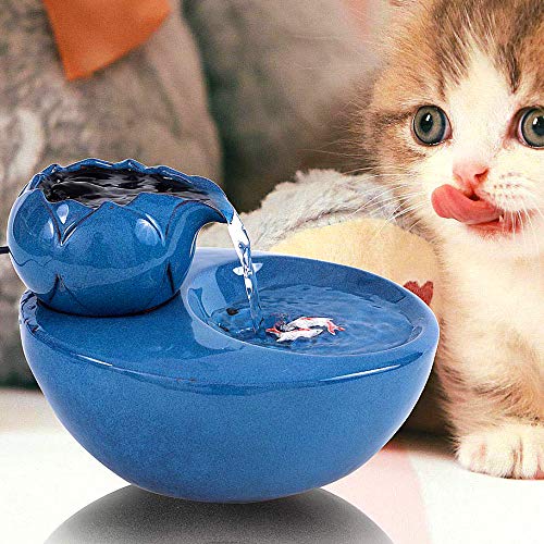 ROSE CREATE fontaine chat céramique 1,3 L favorise hydratation naturelle pour chats.
