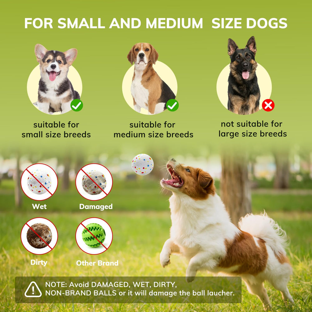 RoseYouth utilisation intérieur extérieur, idéale pour petits et moyens chiens