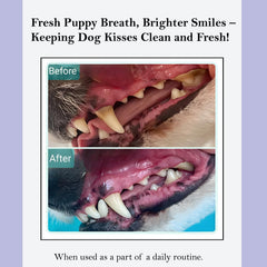 ROSEY'S PUPPY FRESH BREATH - dans le bol d'eau, haleine plus fraîche.