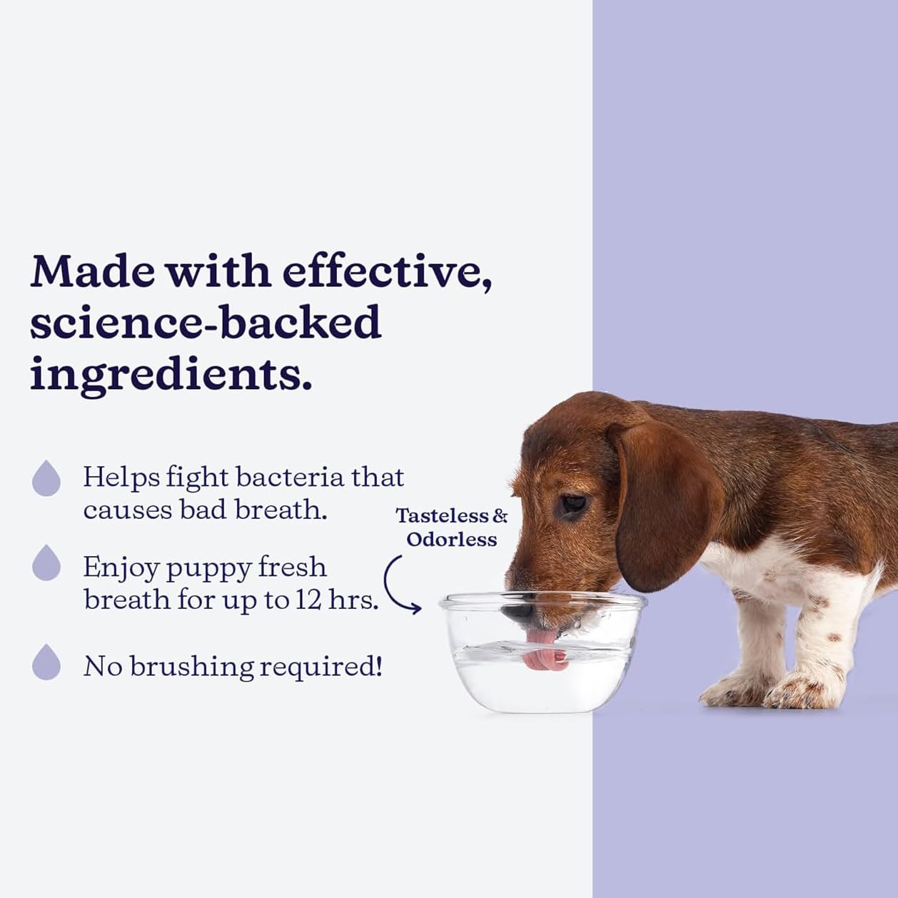 ROSEY'S PUPPY FRESH BREATH - aide potentielle pour des gencives saines et un sourire clair.