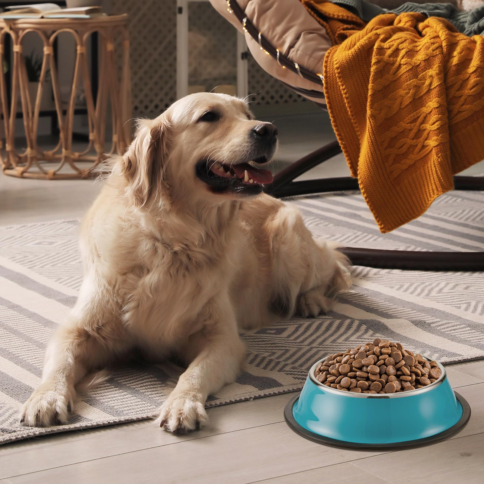 Bol inox Roshtia orange avec base anti-dérapante, idéal pour les repas quotidiens.