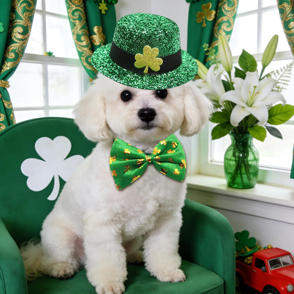 Rosulasi taille ajustable accessoires Saint-Patrick, convient à toutes les tailles