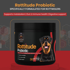 Rottitude Probiotiques pour chiens, comprimés, aide à une digestion fluide.