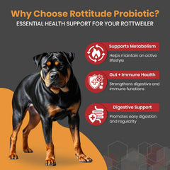 Rottitude Probiotiques pour chiens, dose ajoutée dans la nourriture, soutien quotidien.