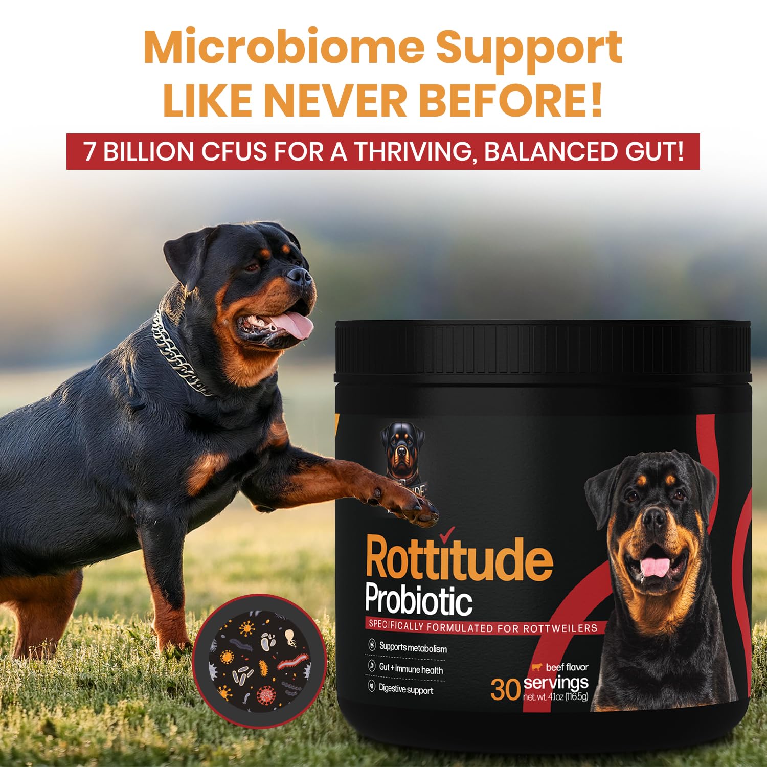 Rottitude Probiotiques pour chiens, soutien immunitaire et vitalité potentielle.