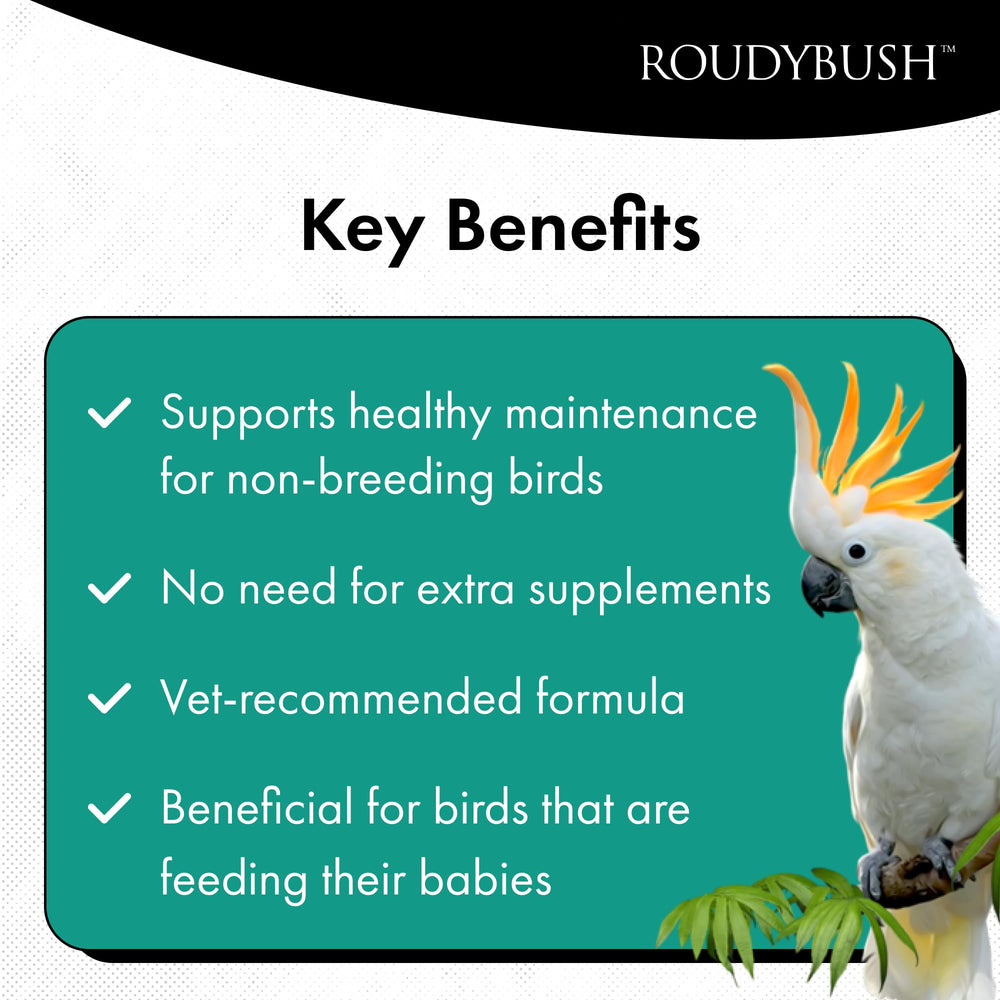 Roudybush California Blend, fruits secs en vue, enrichissement nutritionnel et goût naturel.
