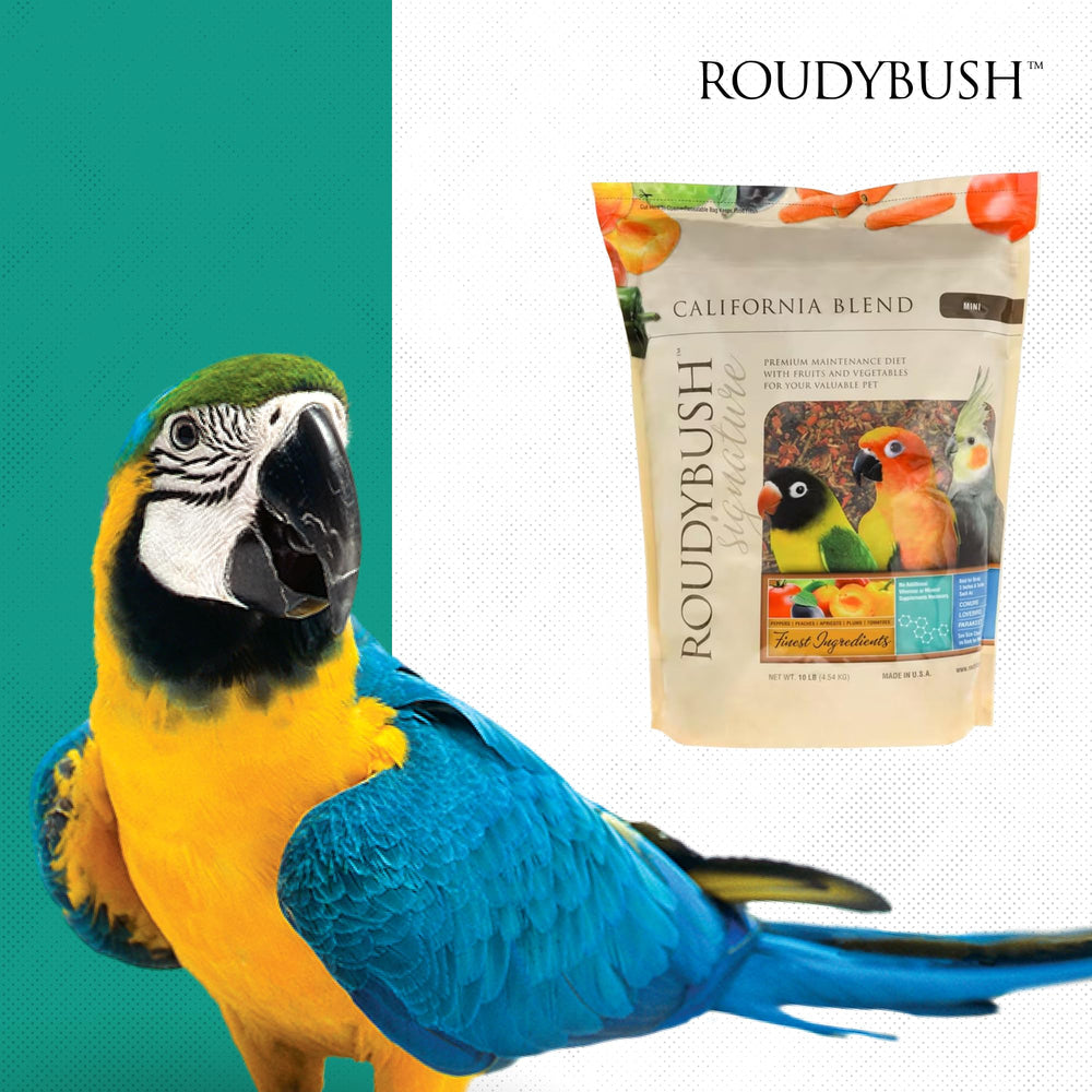 Étiquette lisible RoudyBush California Blend, guide utile pour choisir selon les besoins.