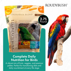 Roudybush California Blend, pellets en gros plan, alimentation adaptée pour compagnons à plumes.