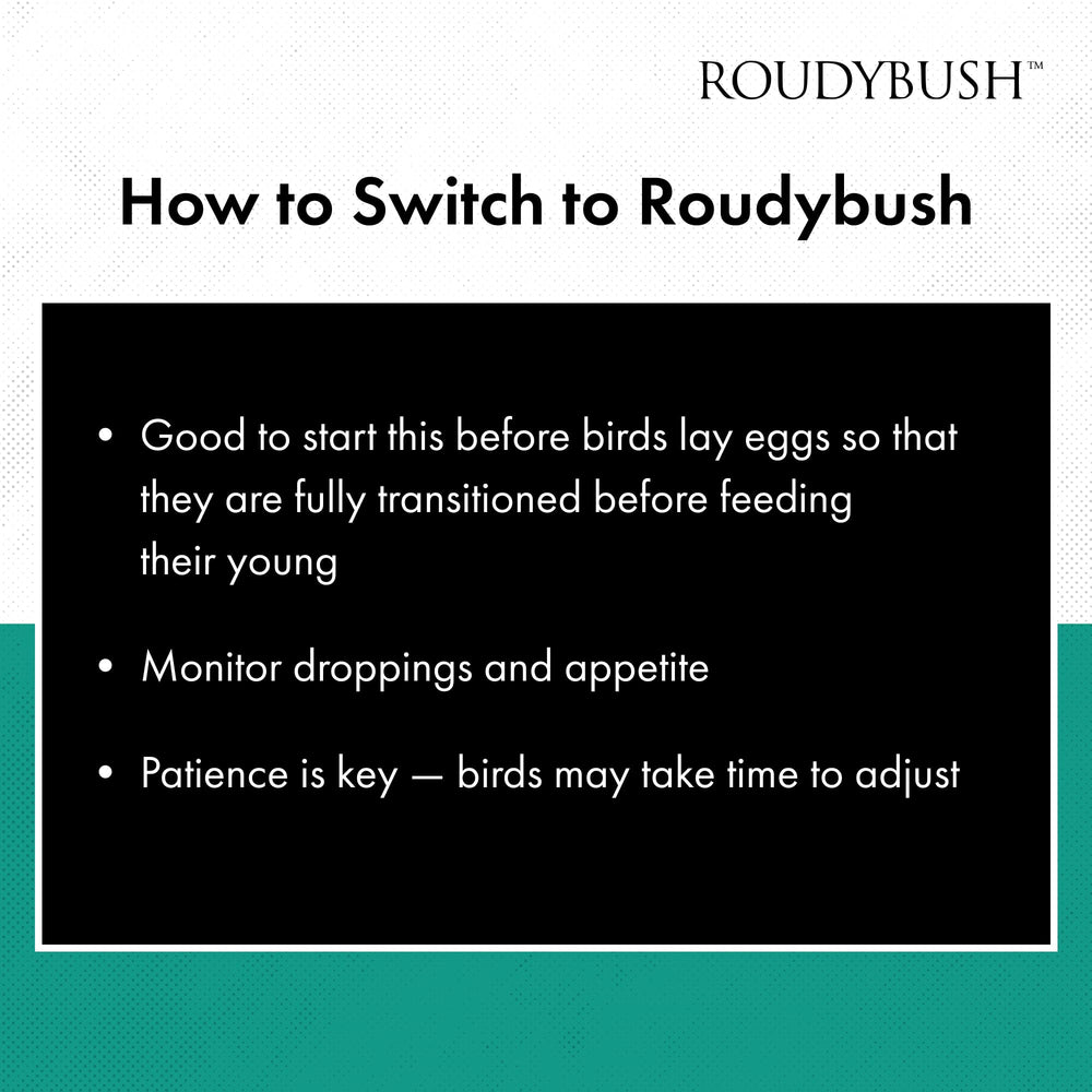 Roudybush California Blend, transition alimentaire illustrée, pratique pour passer d’un régime ancien.