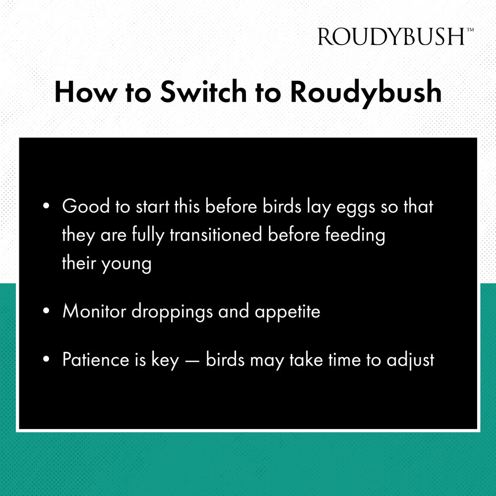 Roudybush Nourriture quotidienne pour oiseaux, emballage sans produits animaux.