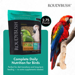 Roudybush Nourriture quotidienne pour oiseaux, pellets moyens, prêt à nourrir.