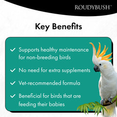 Roudybush Nourriture quotidienne pour oiseaux, sans sucre ajouté, choix neutre.