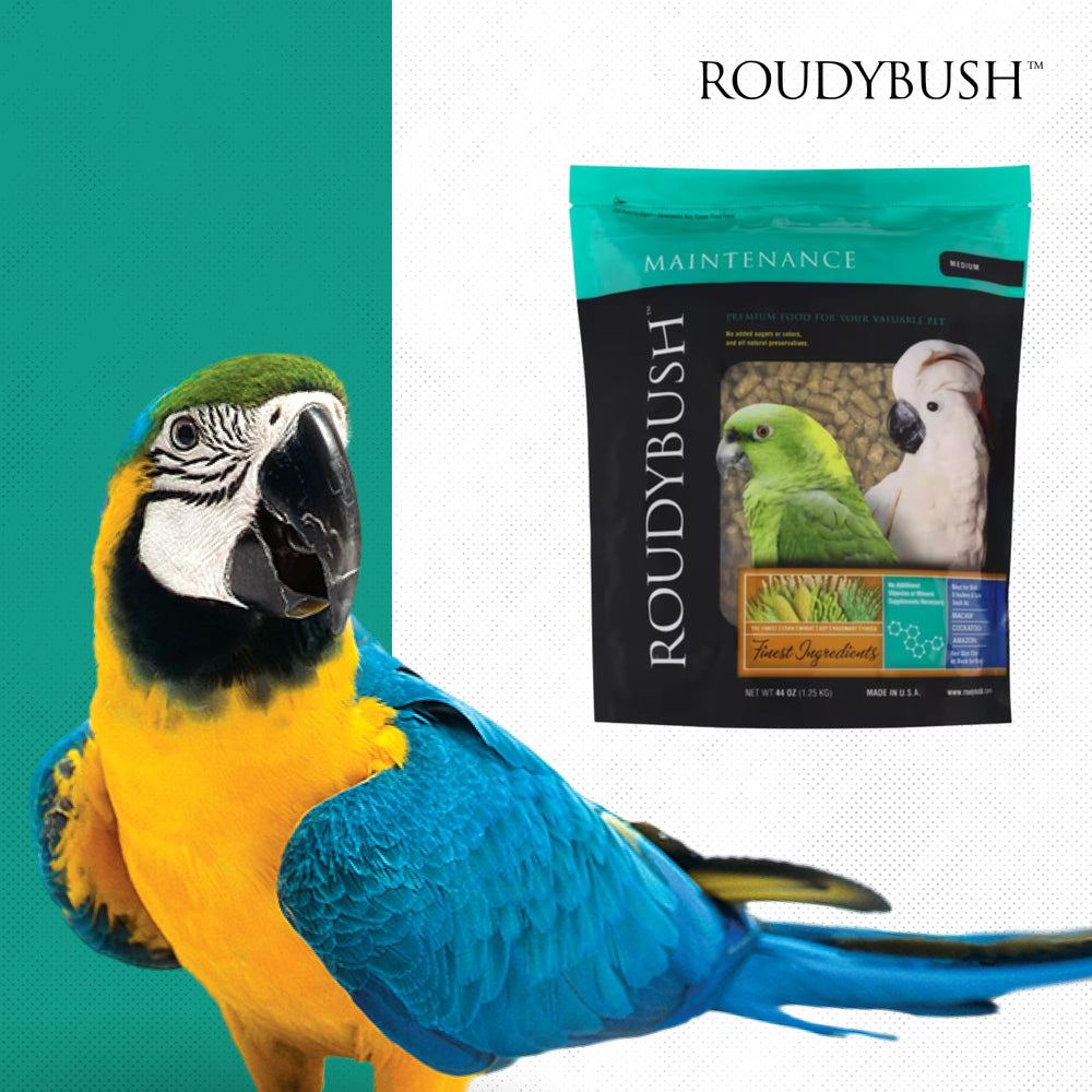 Roudybush Nourriture quotidienne pour oiseaux, utilisation quotidienne simple.