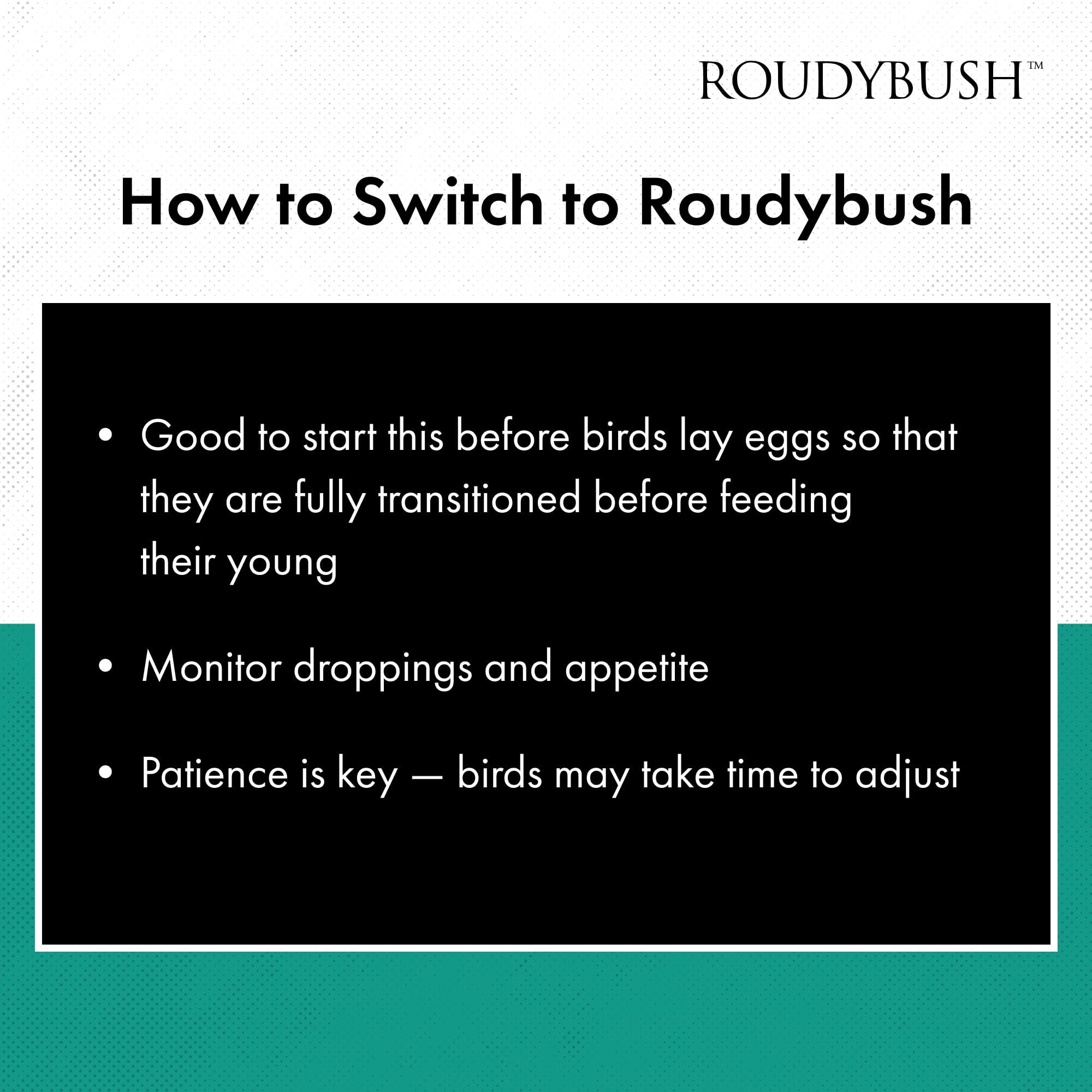Roudybush Entretien Quotidien 100 % comestible sans sous-produits animaux.