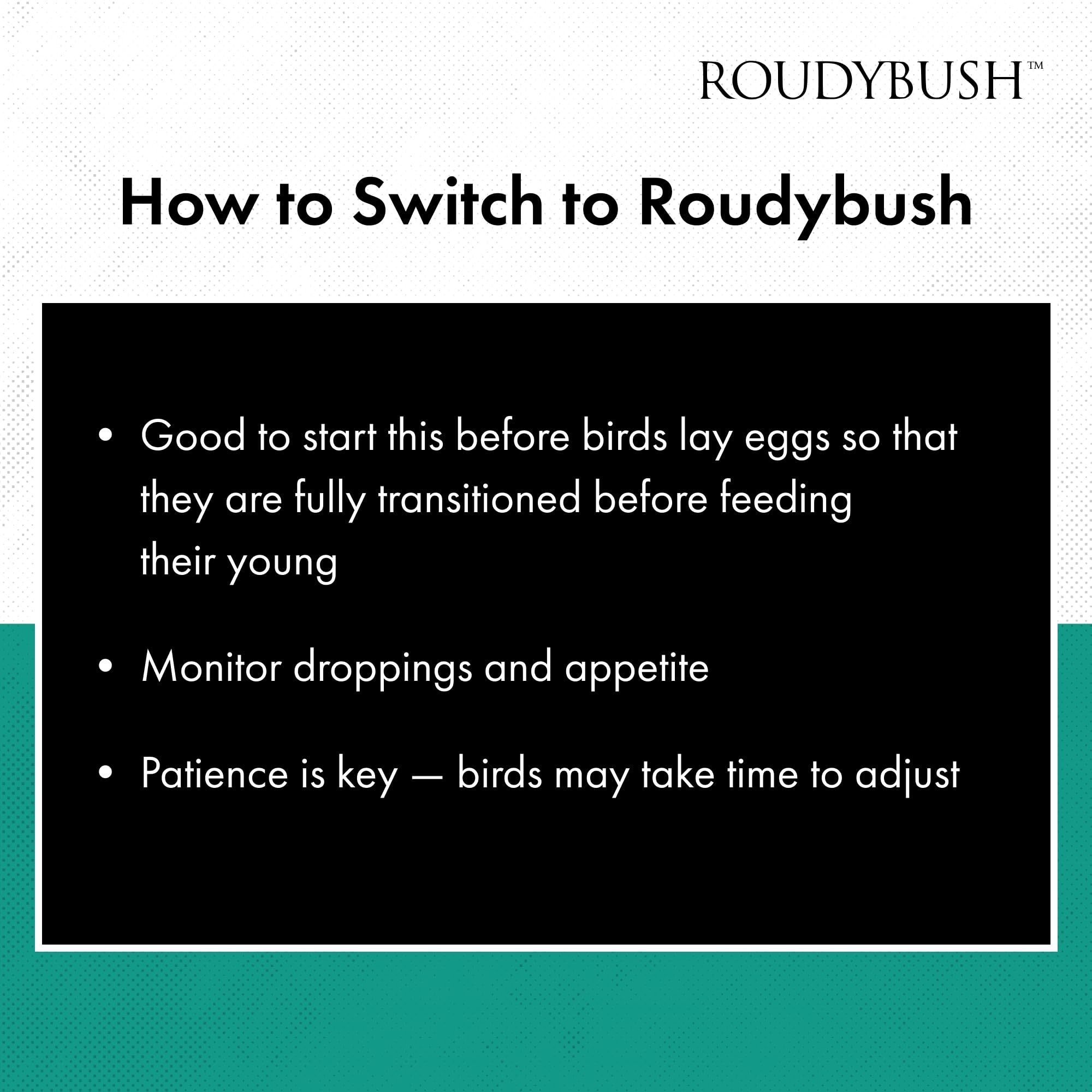 Experts depuis 1985: RoudyBush guide l’alimentation des oiseaux.