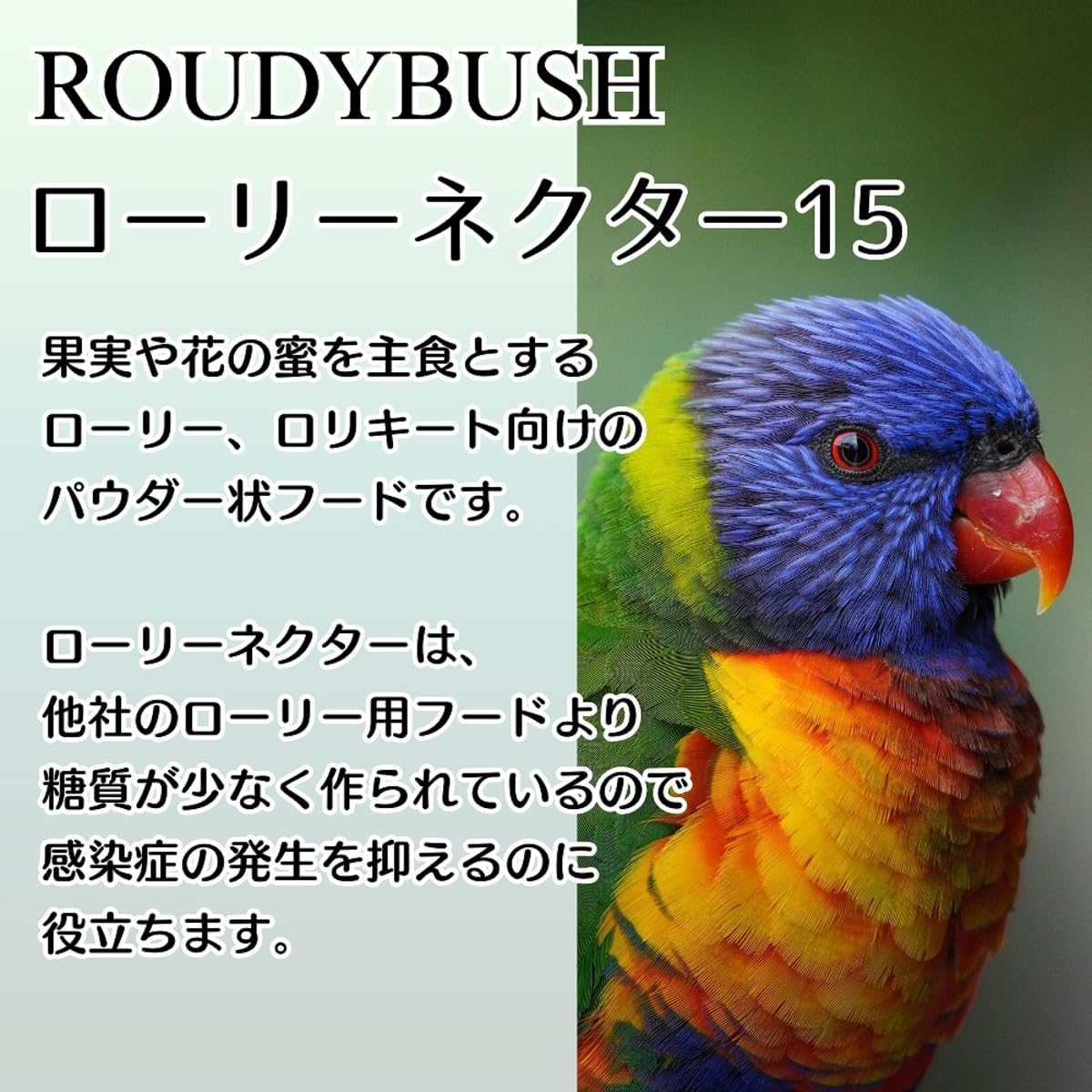 RoudyBush Lory Nectar, doseur inclus, dosage précis et nettoyage facilité