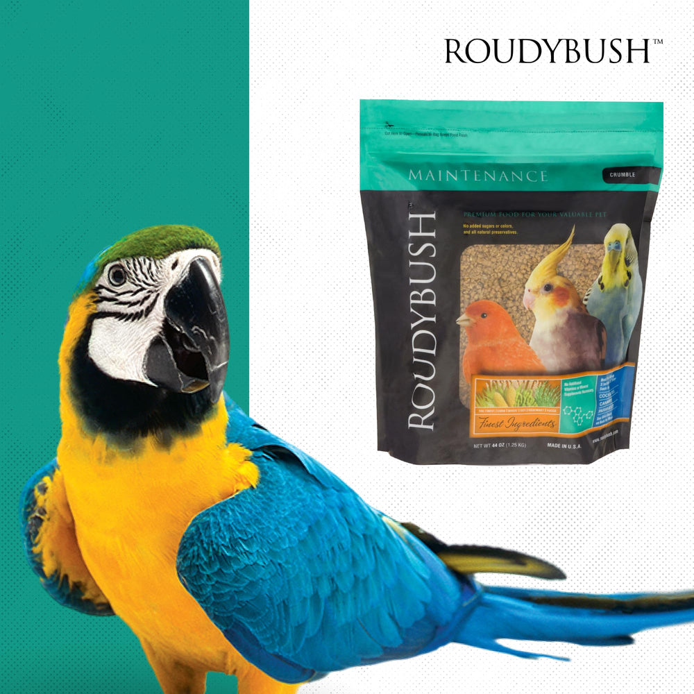 Base nutritionnelle fiable pour l’oiseau dans la routine quotidienne.