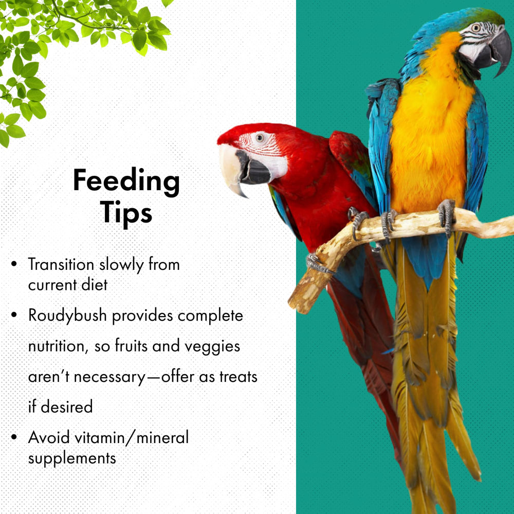 Roudybush Pellets Taille Moyenne : pellets adaptés pour oiseaux d’au moins 3 pouces.