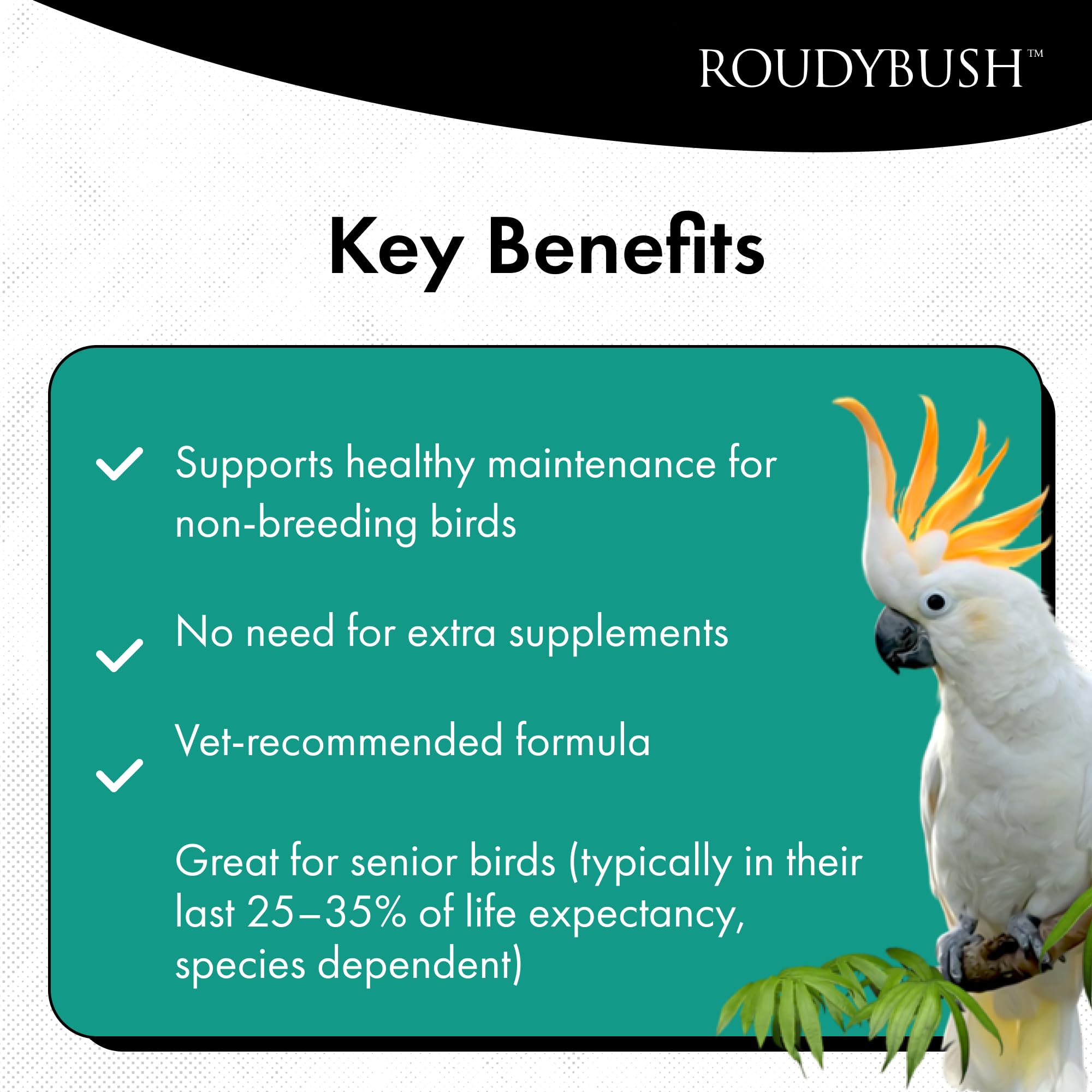 RoudyBush Senior Diet dans bol – alimentation simple et propre.
