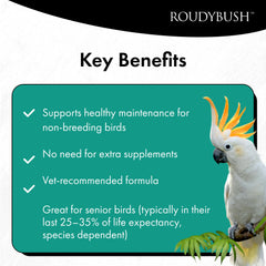 RoudyBush Senior Diet dans bol – alimentation simple et propre.