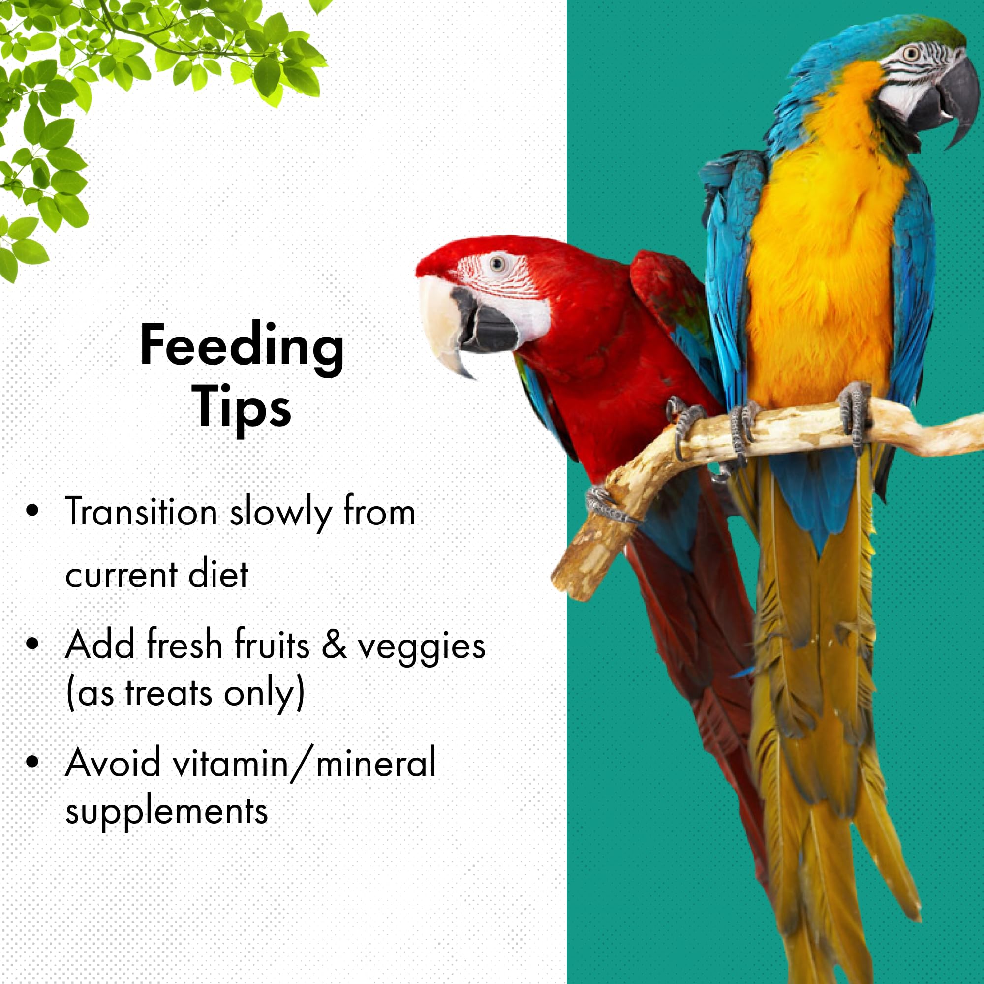 RoudyBush Senior Diet fruits et légumes occasionnels – complément savoureux.