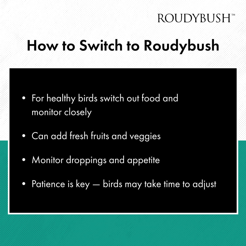 Roudybush Transition Sans Suppléments : transition simple sans vitamine/minéral supplémentaire.