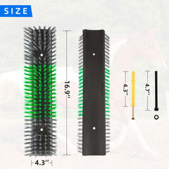 Dents arrondies et sûres de la brosse Rouisxue, grattage sécuritaire.
