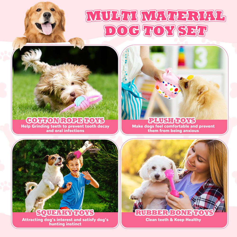 RoundFunny coffret cadeau chien rose, prêt à offrir