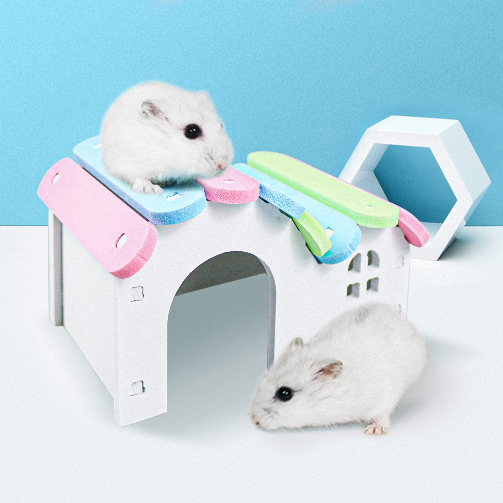 Roundler balançoire en bois: repos sûr et divertissement pour petits animaux.