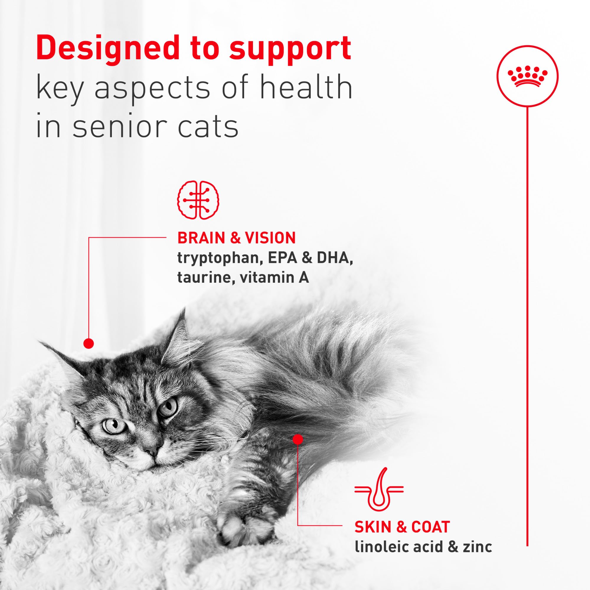 Royal Canin Aging 11+ appétit optimisé, soutien au poids.