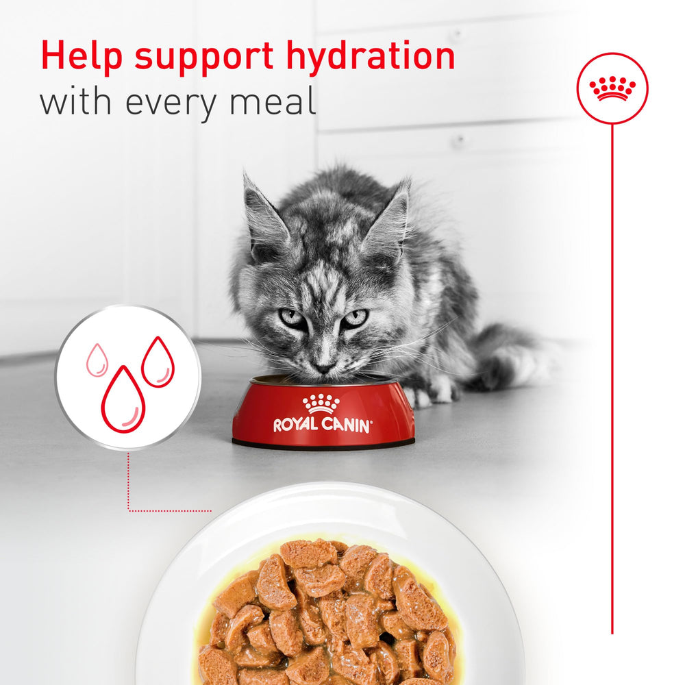Royal Canin Aging 11+ EPA DHA Taurine et vitamine A pour les fonctions sensorielles.