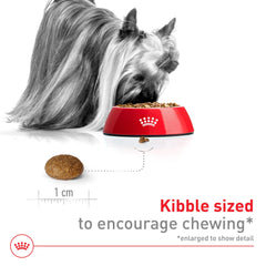 Antioxydants et vitamines C et E dans Royal Canin X-Small 8+.