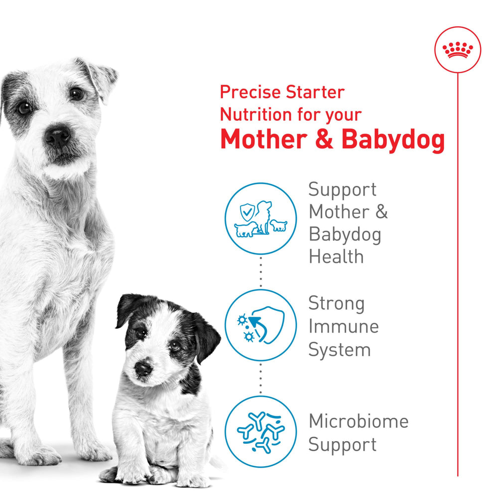 Royal Canin antioxydants vitamine E et C pour le soutien immunitaire.