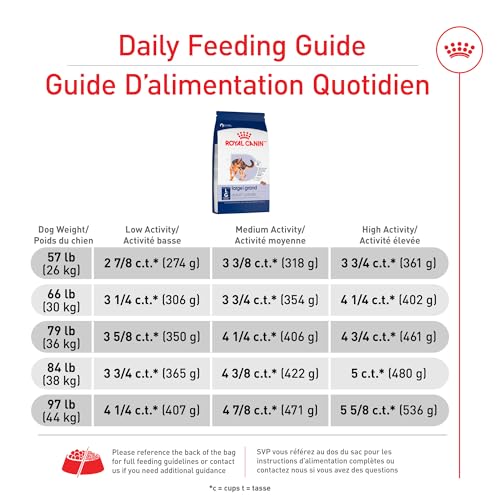 Royal Canin: antioxydants et vitamines C et E pour le système immunitaire
