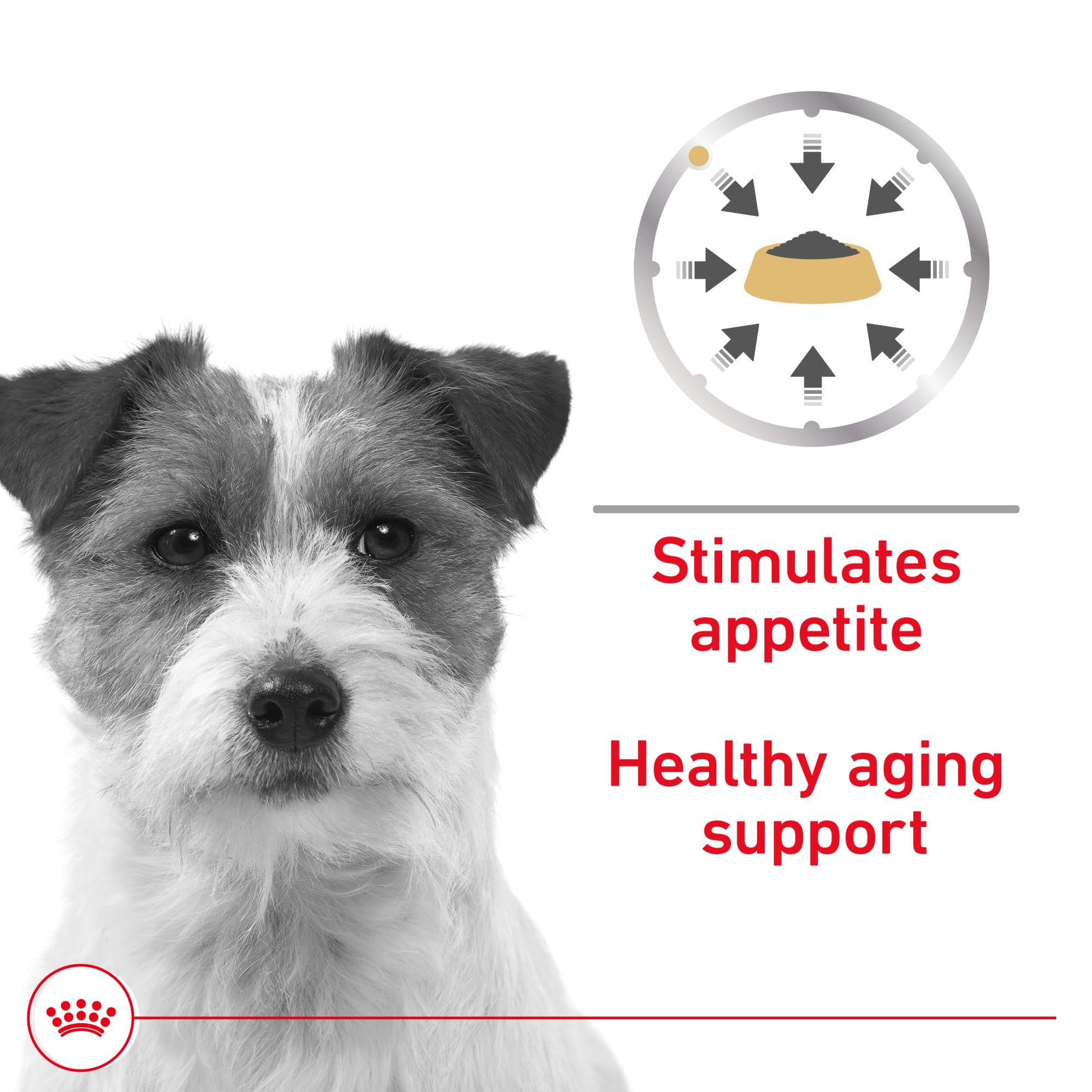 Royal Canin appétit stimulé chez les chiens âgés grâce à la recette.