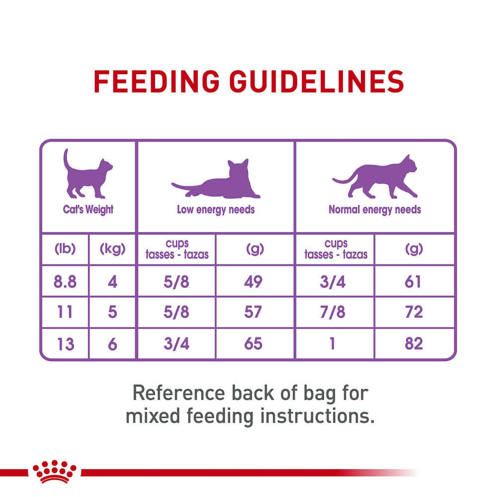 Croquettes ROYAL CANIN Appetite Control adaptées pour chat adulte.