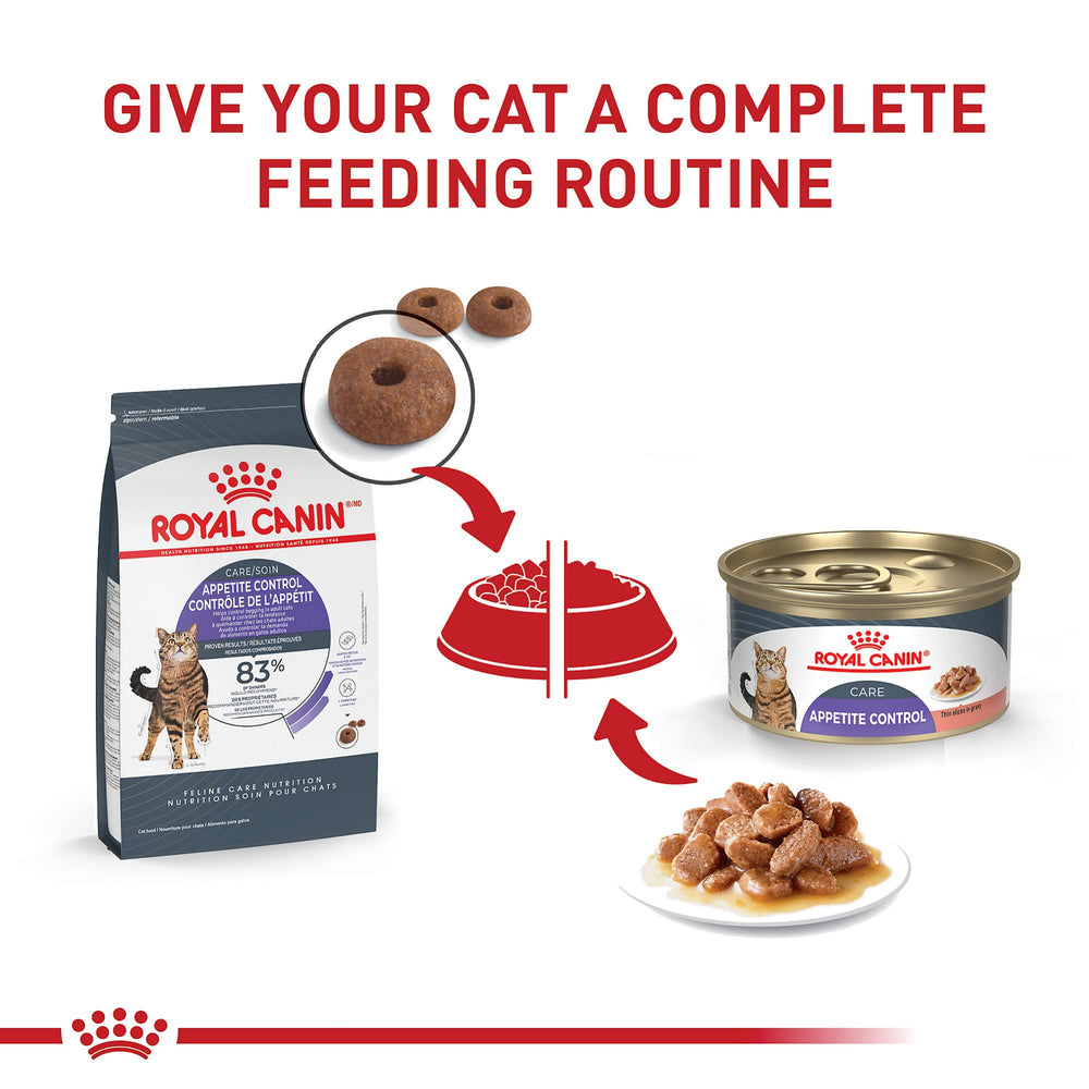 Croquettes sèches ROYAL CANIN Appetite Control pour chat adulte.