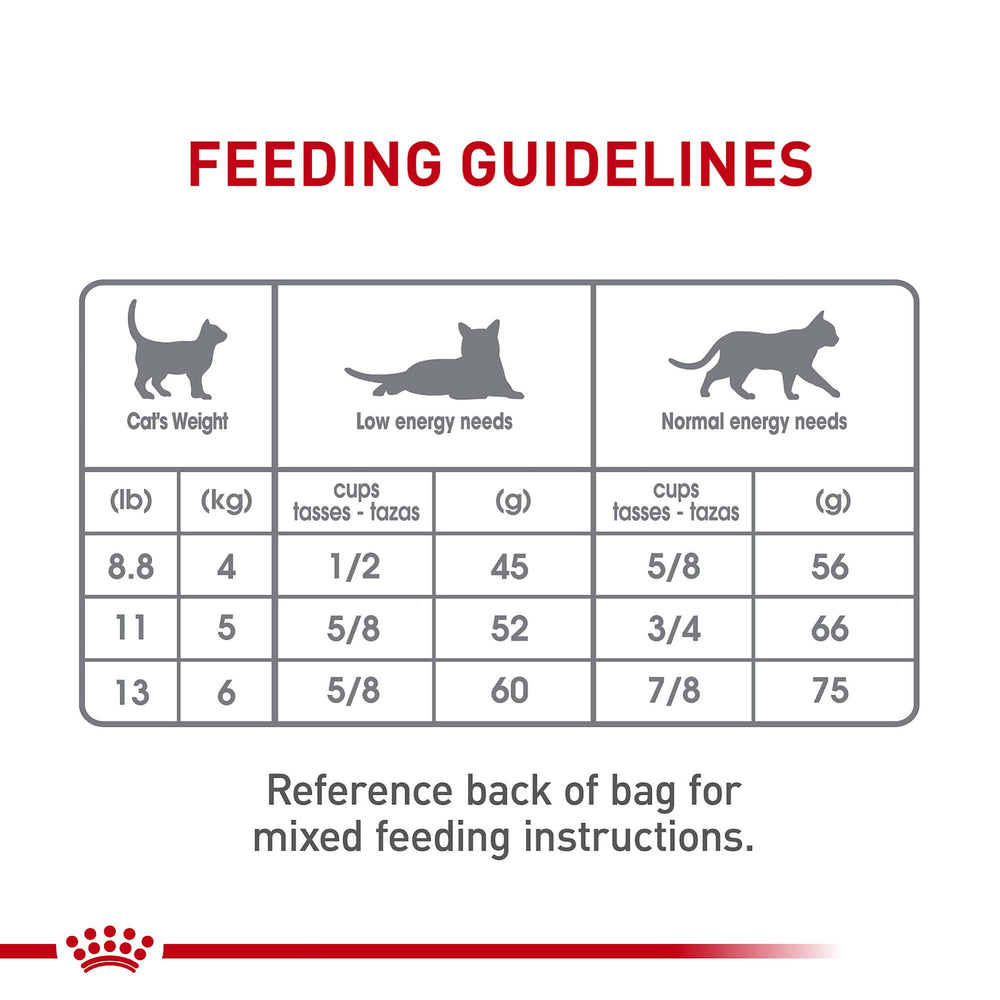 Royal Canin expérience gustative agréable et saine.