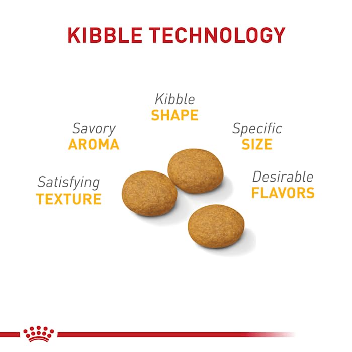 Royal Canin assiette alimentation quotidienne, montre une utilisation pratique et équilibrée chaque jour.