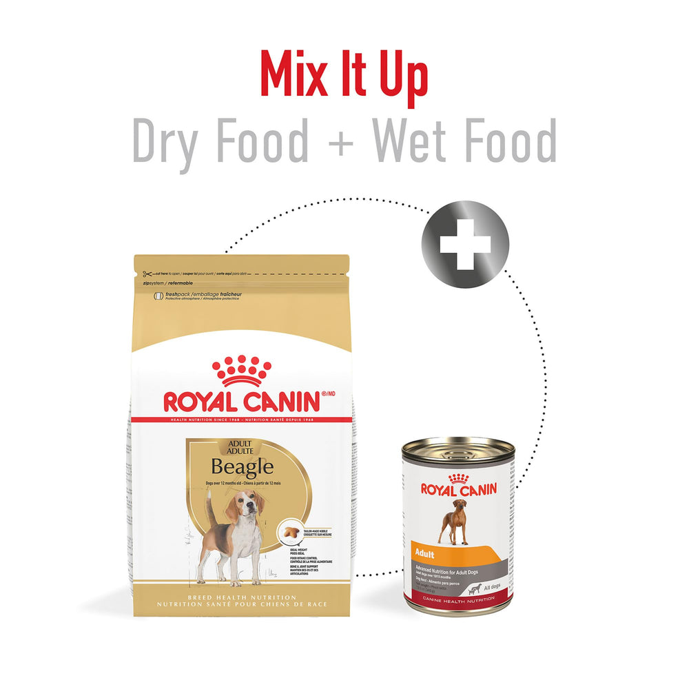 Contrôle du poids potentiel grâce aux calories adaptées, Beagle Adulte Royal Canin.