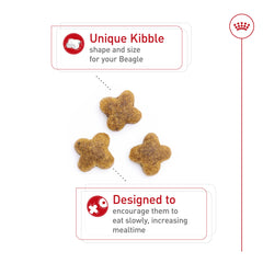 Croquettes Royal Canin Beagle Adulte, emballage clair, pratique pour les repas quotidiens.