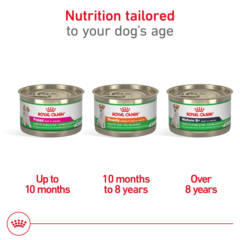 Royal Canin Beauté Loaf en Sauce: pelage brillant et peau saine.